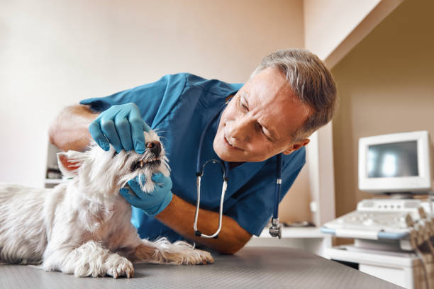 Best Emergency Wisdom Tooth Extraction in Roberta, GA